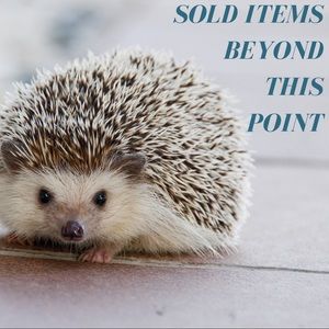 Sold items only beyond this point